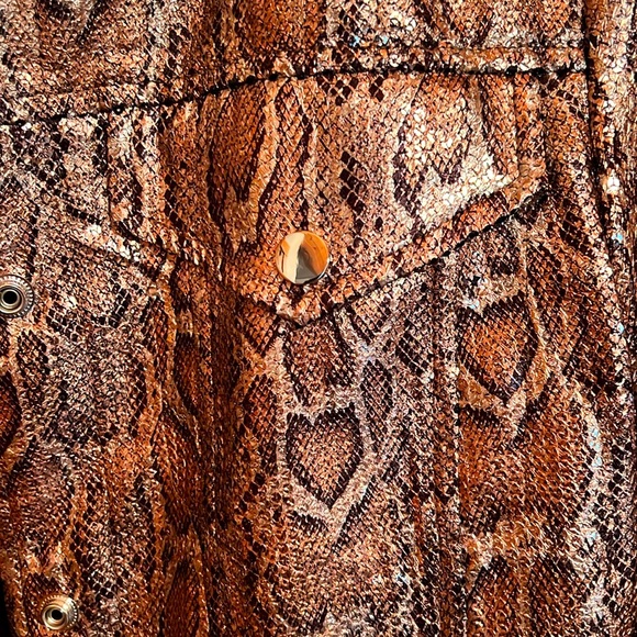 Dolce Cabo. Python Snake Skin Jacket. Size M. Buttons. Color Metallic - Picture 5 of 8
